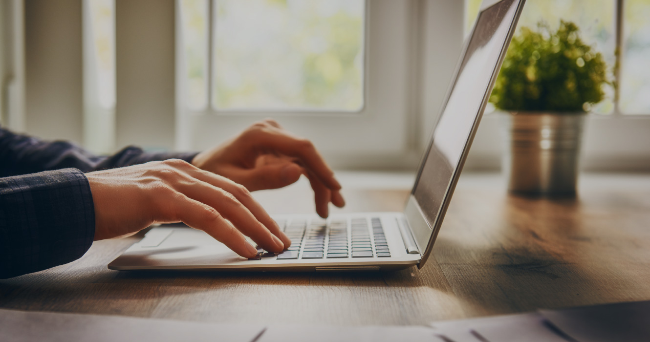 Human using a laptop with a plant nearby